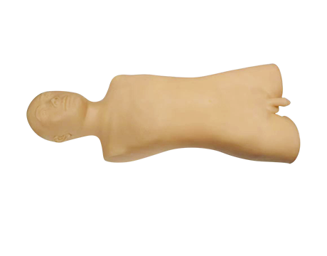 多功能中医技能训练半身模型